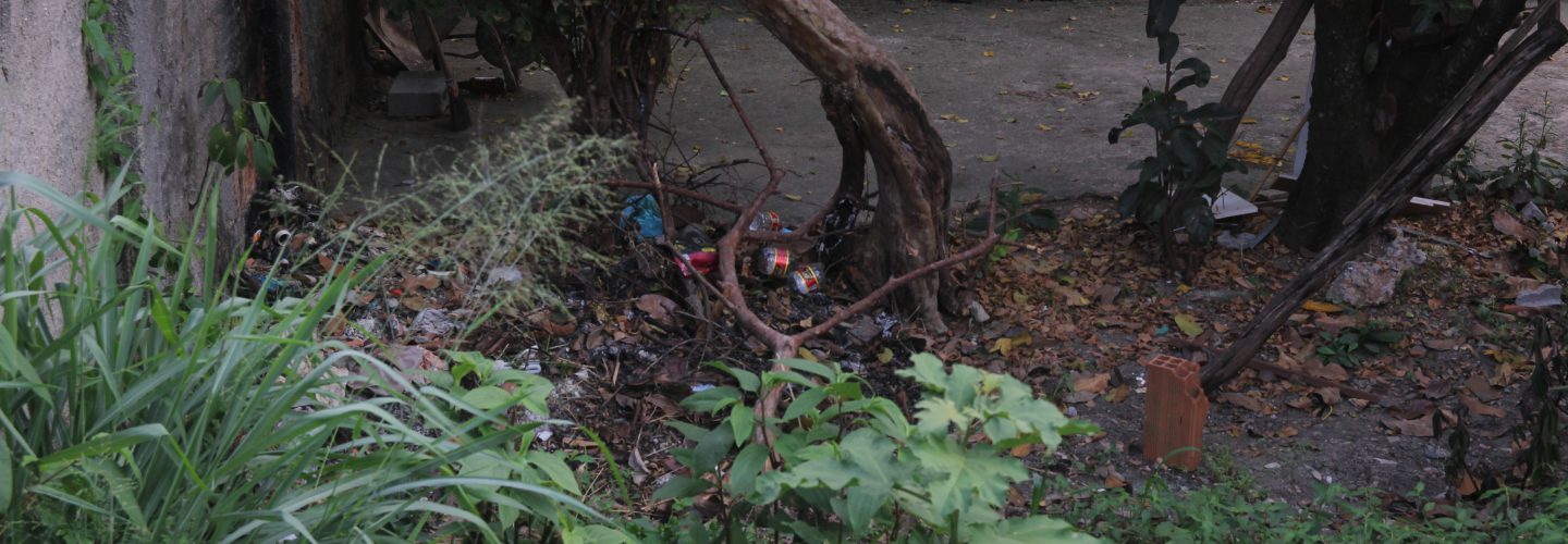 <h1>Windows 51</h1><strong>RJ / PE, 15 MIN</strong>