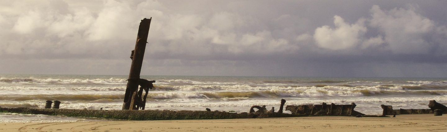 <h1>Grão</h1><strong>RS, 24 MIN</strong>