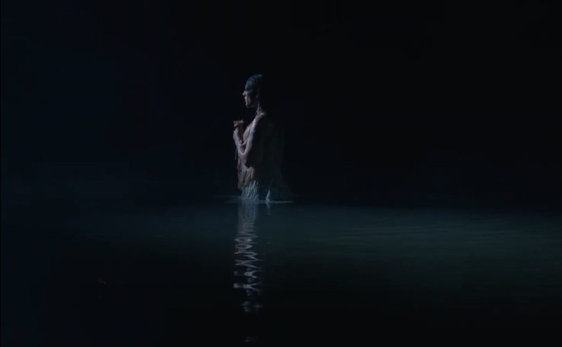 <h1>Hipo Campo</h1><strong>SP, 16 MIN</strong>