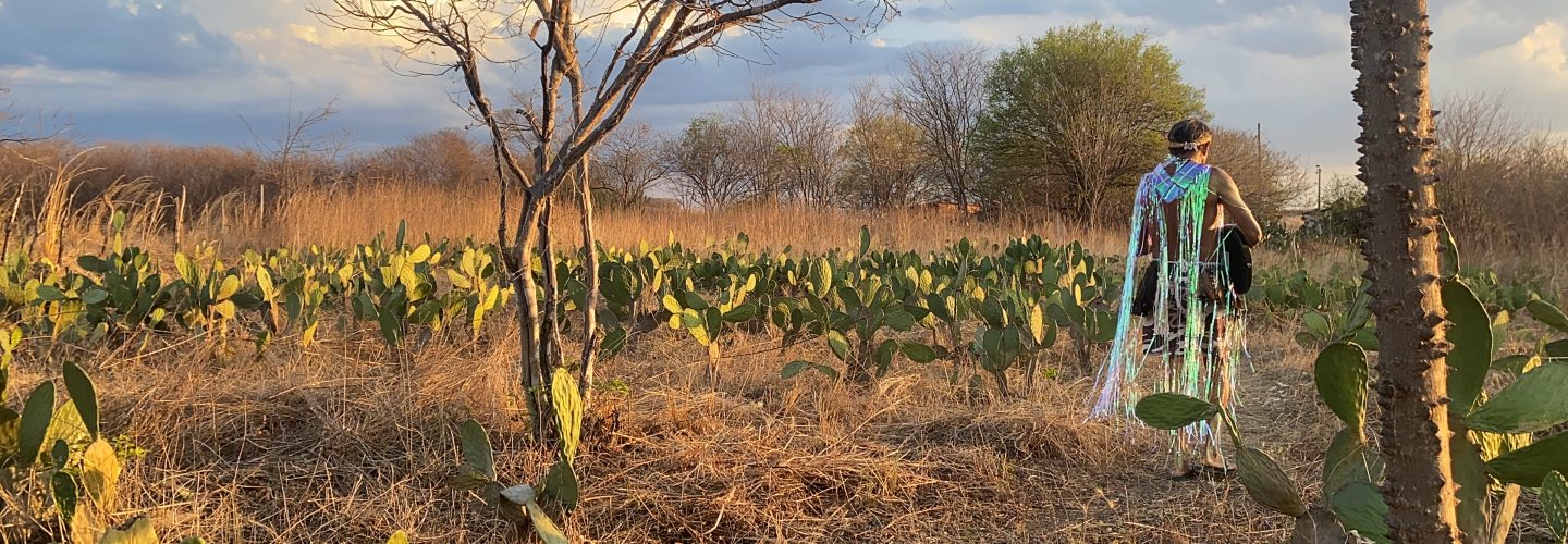 <h1>Mydzé</h1><strong>CE, 13 MIN</strong>