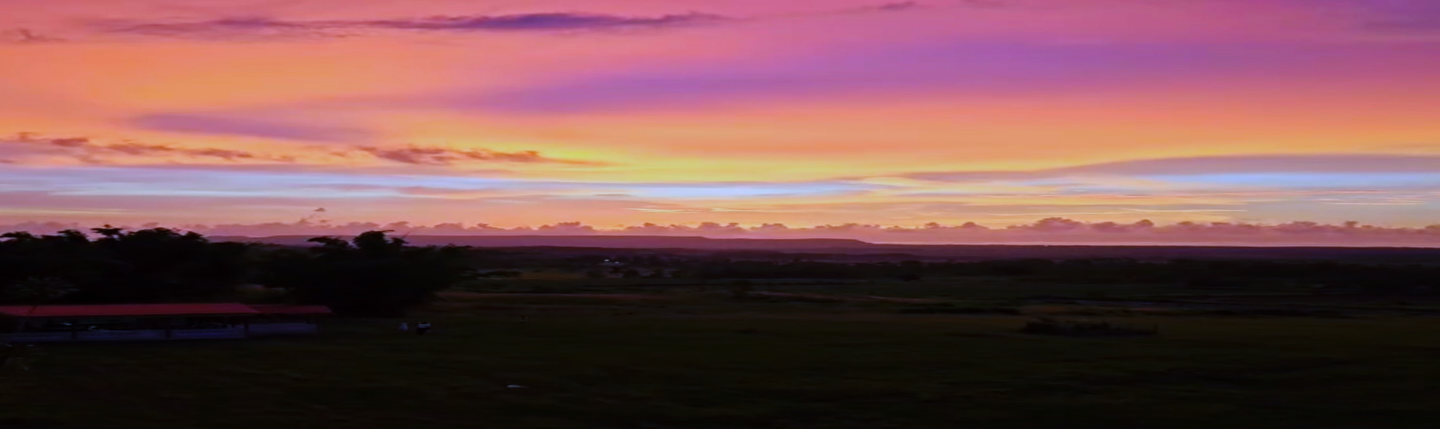 <h1>Para não ser levada por qualquer ventania</h1><strong>RS, 7 MIN</strong>