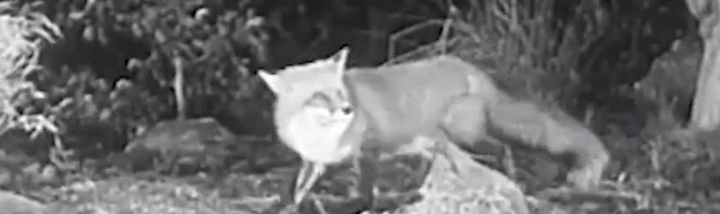 <h1>Sessão Sem Diálogo</h1><strong>RJ / SP, 80 MIN</strong>