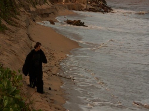 <h1>A Fuga, a Raiva, a Dança, a Bunda, a Boca, a Calma, a Vida da Mulher Gorila</h1><strong>, 82 MIN</strong>